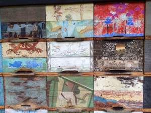 received_10204369878755162