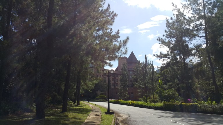 colmar tropicale.jpg