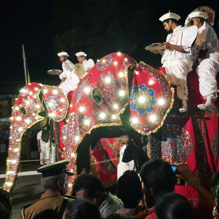 elephant_parade_instragram_@pratserie