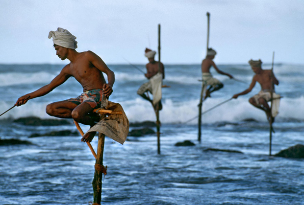 stevemccurrystiltfishermen_pratserie_blog
