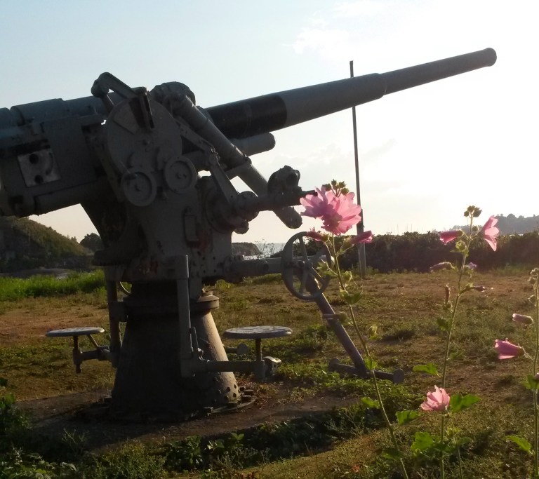Cannon and flowers in Helsinki @pratserie