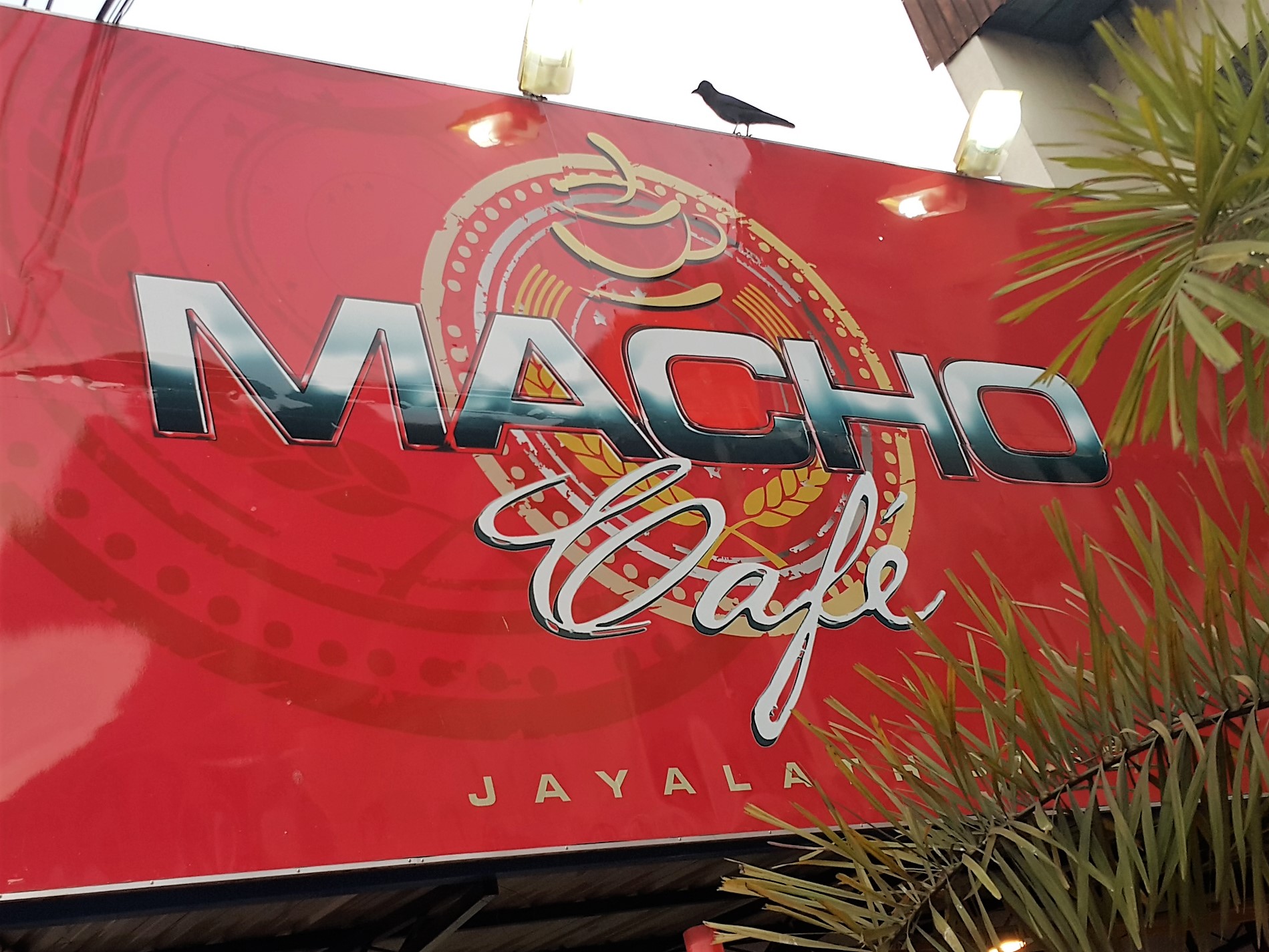 Macho Café Sri Lanka (fachada)