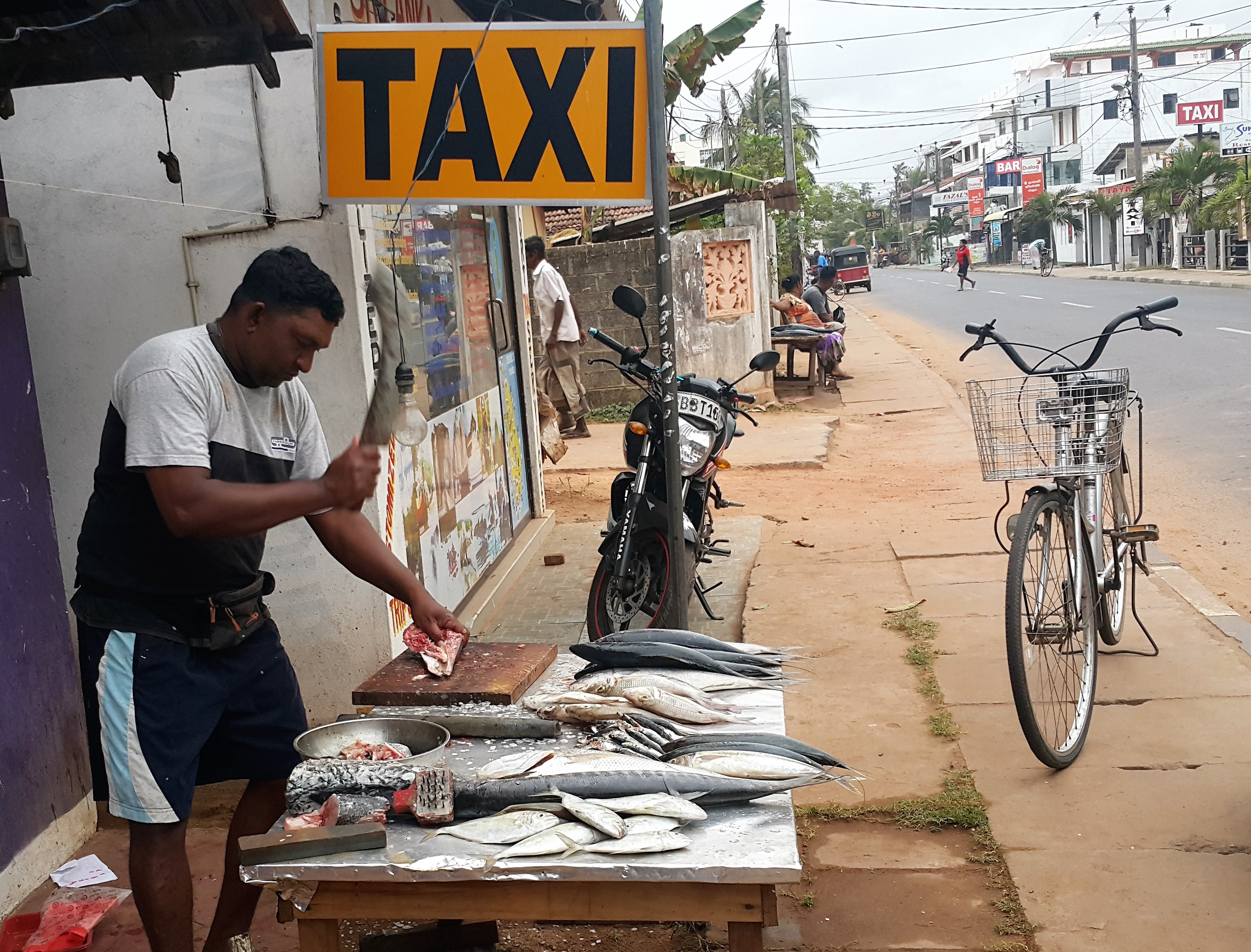 Fisherman in Negombo (Sri Lanka)