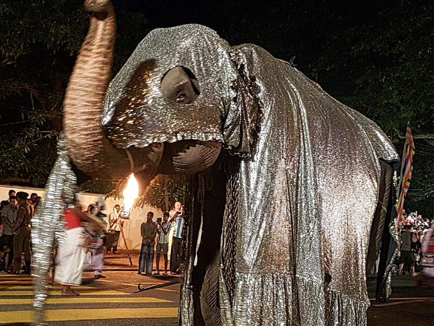 elephant parade Sri Lanka @pratserie