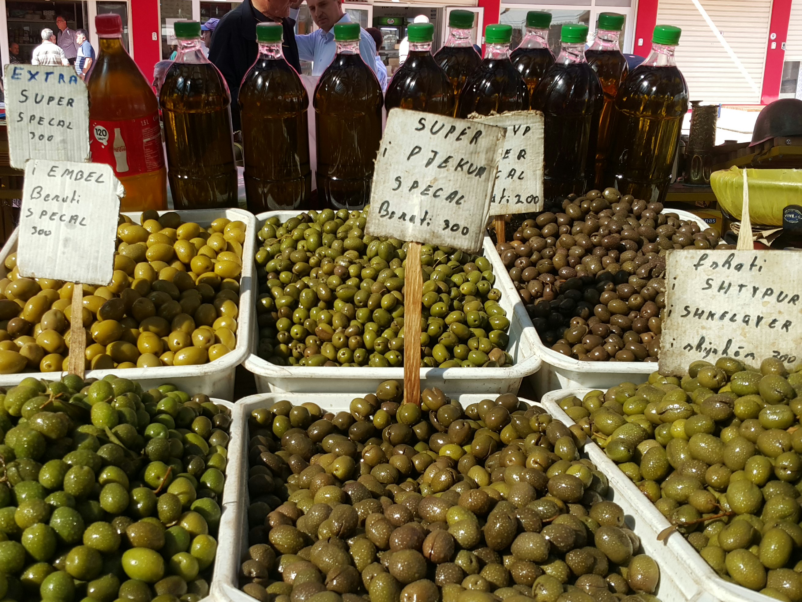 Azeitonas da Albania