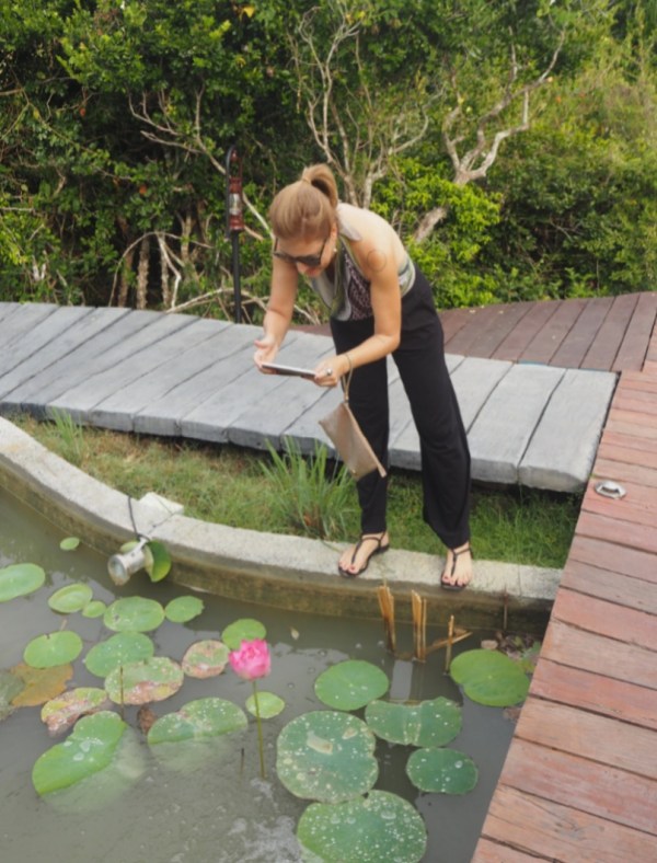 Fernanda Prats Os apps de minha vida