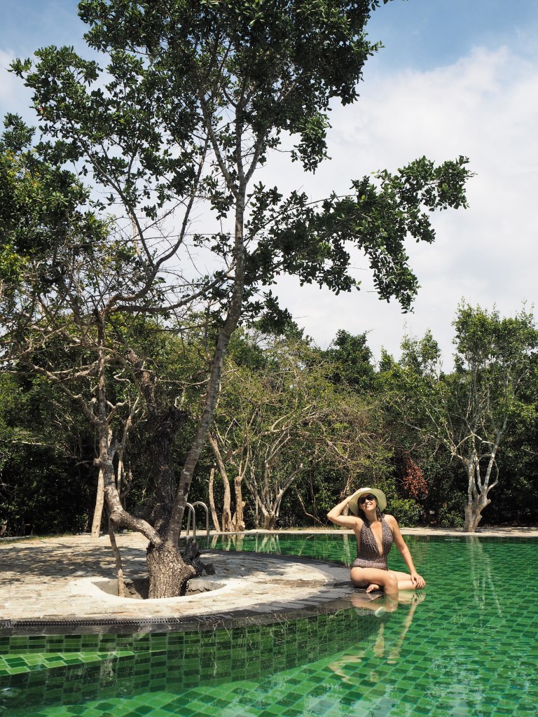 Poolside reflections