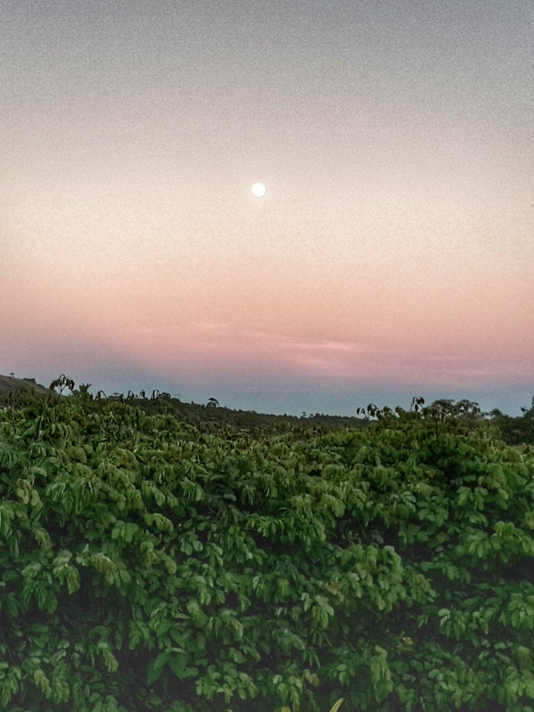 Superlua ao amanhecer @pratserie