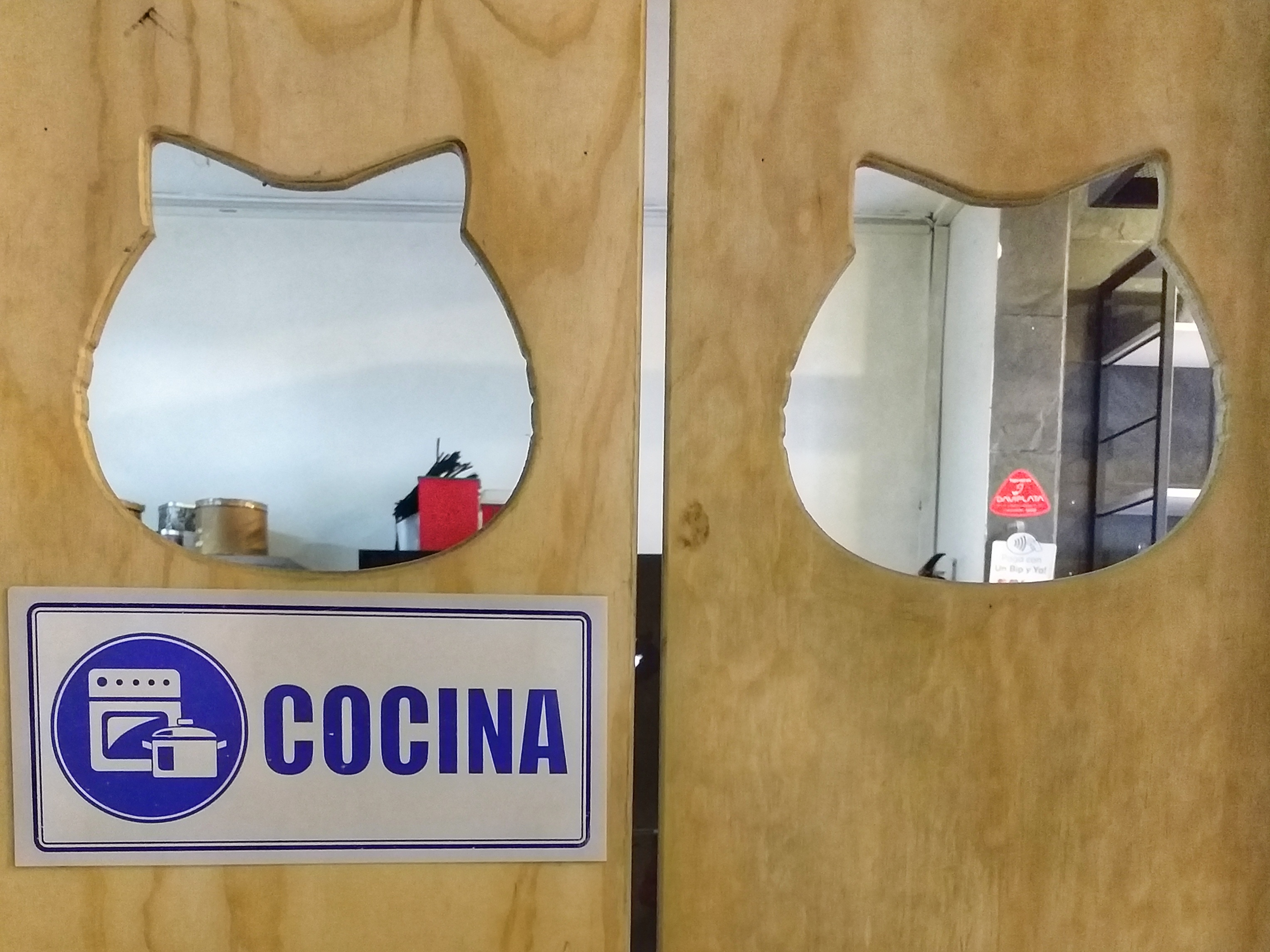 cat-cafe-@pratserie (6)