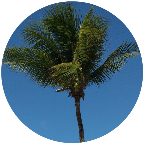 como-e-morar-em-joao-pessoa